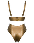 Zarina Latex Bra and High Waist Briefs Lingerie Set back view