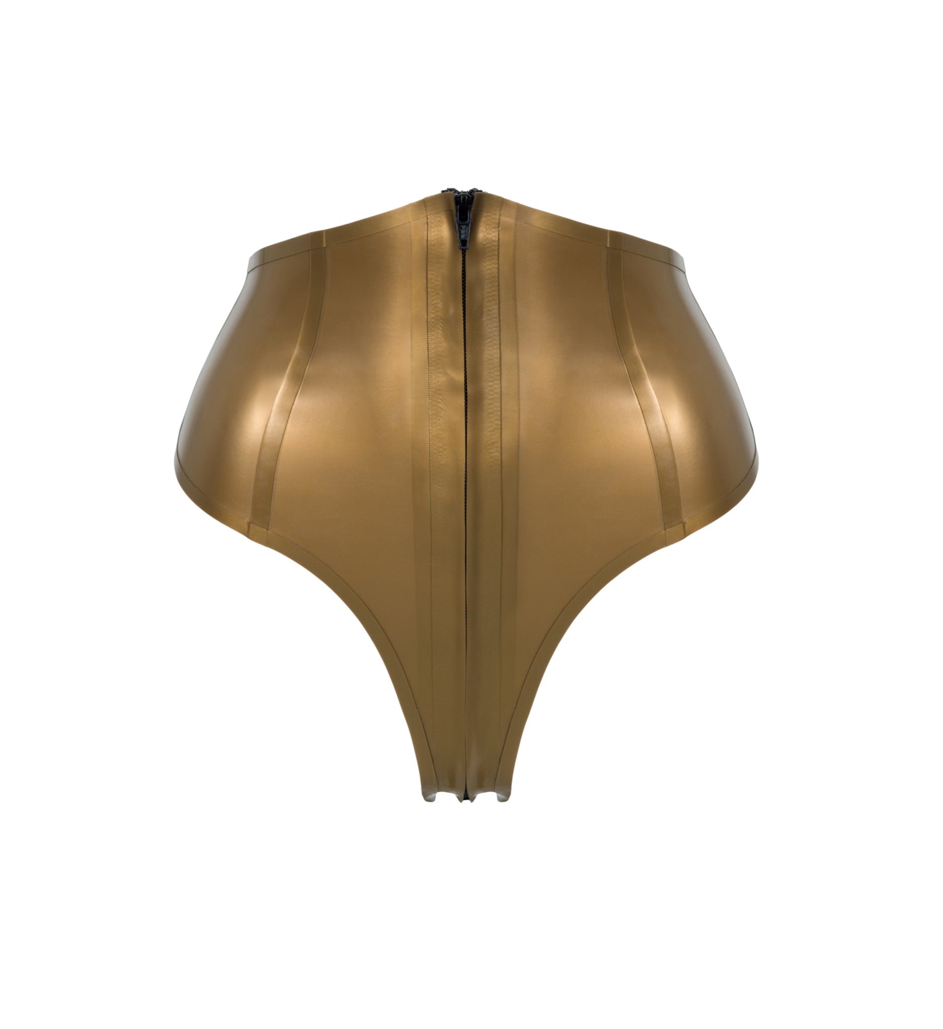 Zarina Latex High Waist Briefs