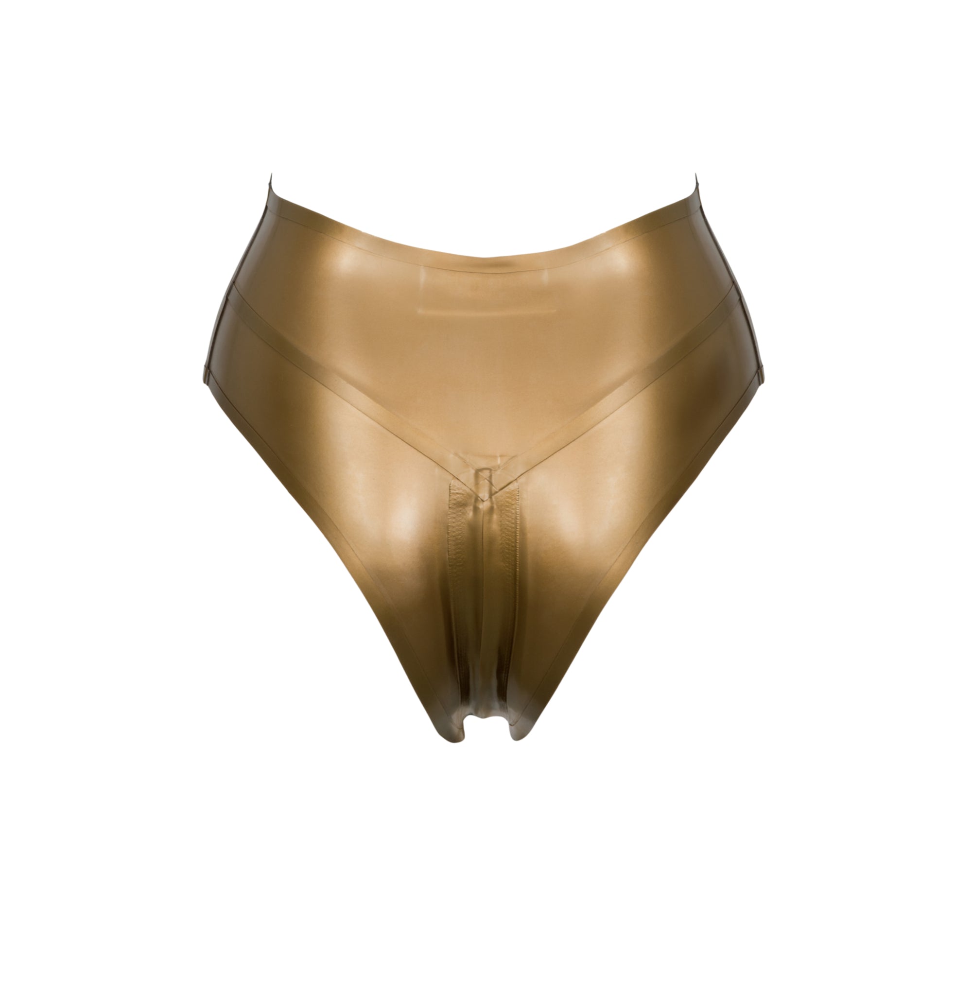 Zarina Latex High Waist Briefs
